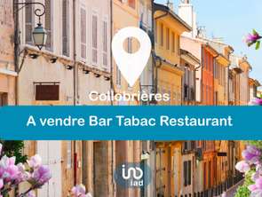 Vente Bureaux et commerces 135 m&sup2;Collobrières