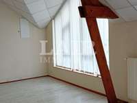 Bureaux et commerces 7 pièces