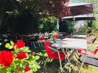 Bureaux et commerces 12 pièces