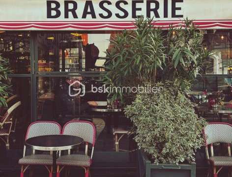 Bureaux et commerces Deauville 14