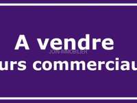 Bureaux et commerces 3 pièces