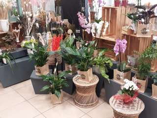 Bureaux et commerces