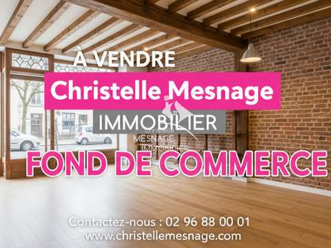 Bureaux et commerces Dinan 22