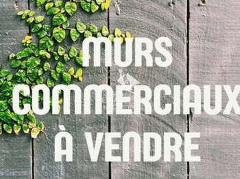 Bureaux et commerces Dinan 22