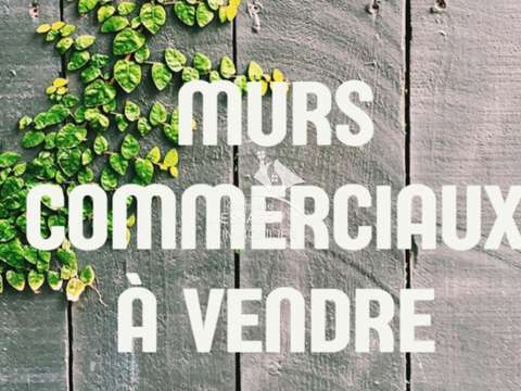 Bureaux et commerces Dinan 22