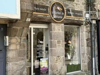 Bureaux et commerces Dinan 22