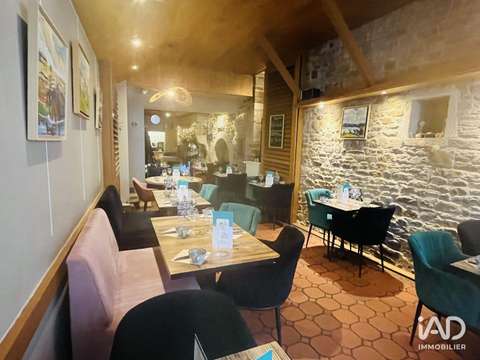 Bureaux et commerces Dinan 22