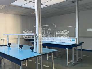 Bureaux et commerces 15 pièces