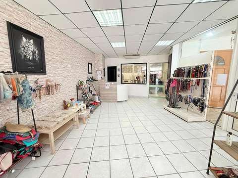 Bureaux et commerces Doue-la-Fontaine 49