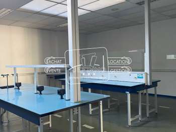 Bureaux et commerces 15 pièces