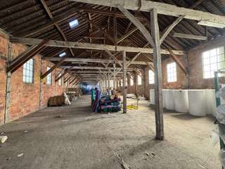 Bureaux et commerces 8 pièces