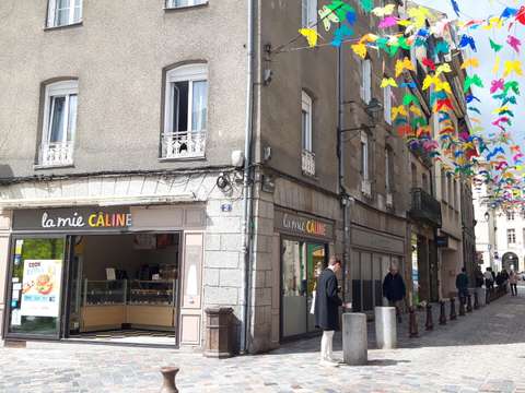 Bureaux et commerces Fougères 35