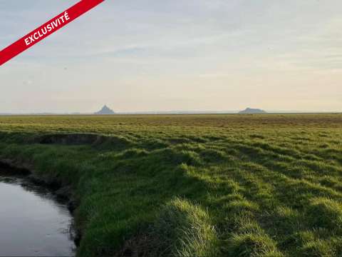 Bureaux et commerces 5 pièces Genêts 50