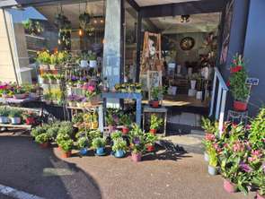 Vente Bureaux et commerces 60 m&sup2;Giberville