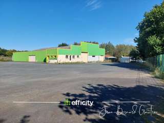 Bureaux et commerces 7 pièces