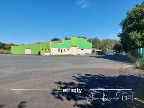 Bureaux et commerces 7 pièces