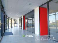 Bureaux et commerces 8 pièces