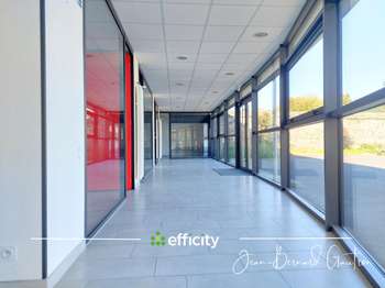 Bureaux et commerces 8 pièces