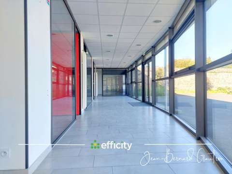 Bureaux et commerces 8 pièces