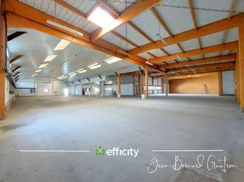 Bureaux et commerces 8 pièces
