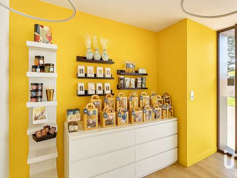 Bureaux et commerces Haute-Goulaine 44
