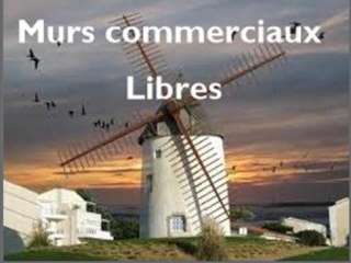 Bureaux et commerces 3 pièces Bureaux et commerces 3 pièces