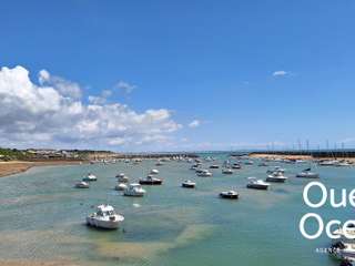 Bureaux et commerces 3 pièces