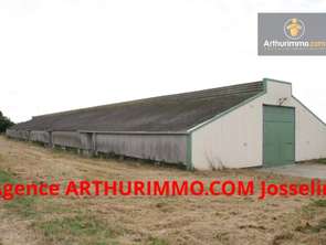 Vente Bureaux et commercesJosselin