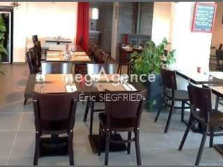 Bureaux et commerces 6 pièces