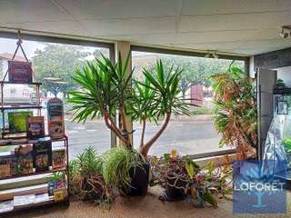 Bureaux et commerces