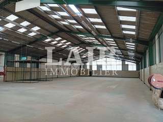 Bureaux et commerces 10 pièces