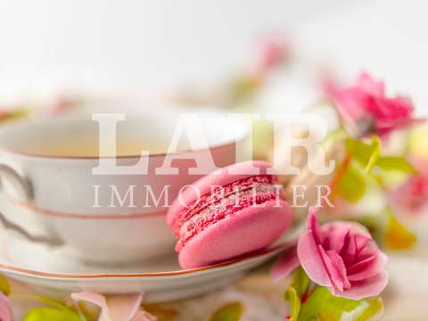 Bureaux et commerces La Ferté-Macé 61