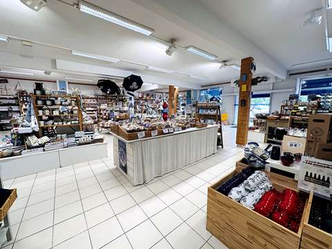 Bureaux et commerces La Forêt-Fouesnant 29