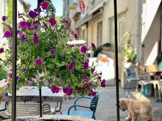 Bureaux et commerces