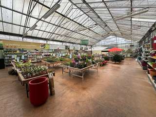 Bureaux et commerces 5 pièces