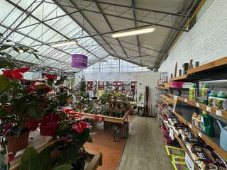 Bureaux et commerces 5 pièces