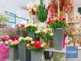 Bureaux et commerces