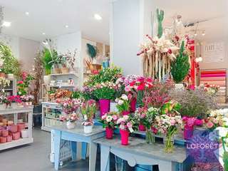 Bureaux et commerces