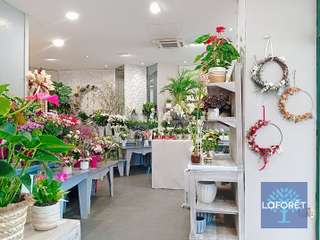 Bureaux et commerces