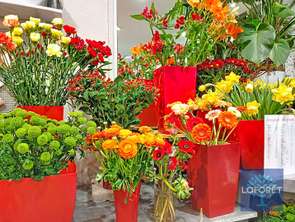 Vente Bureaux et commercesLa Roche-sur-Yon