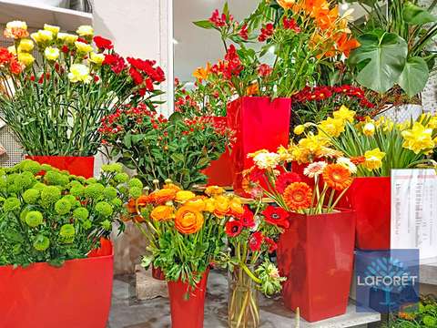 Bureaux et commerces La Roche-sur-Yon 85