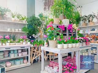 Bureaux et commerces