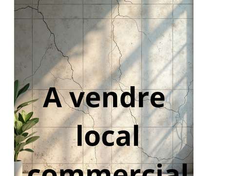 Bureaux et commerces La Roche-sur-Yon 85