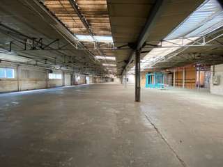 Bureaux et commerces 12 pièces