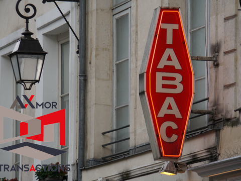 Bureaux et commerces Lamballe 22