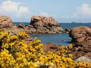 Bureaux et commerces 5 pièces