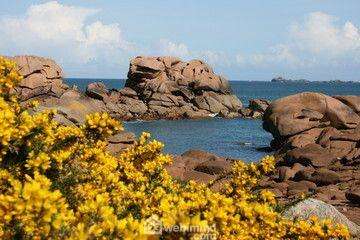 Bureaux et commerces 5 pièces