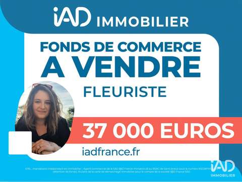 Bureaux et commerces Lannion 22