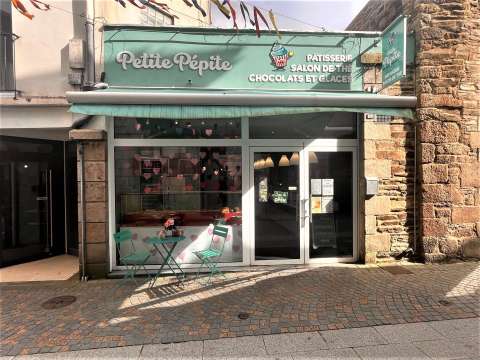 Bureaux et commerces 11 pièces Lannion 22