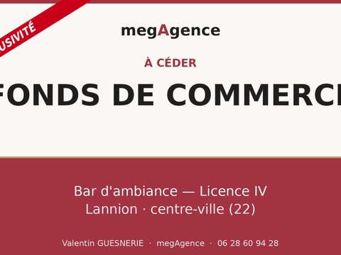 Bureaux et commerces Lannion 22